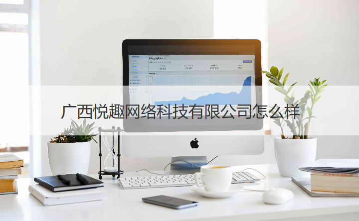 廣西悅趣網絡科技美術圖案設計服務評價——專業性與適配度分析